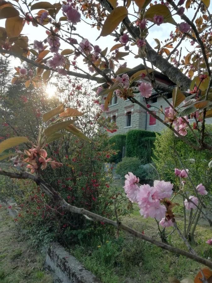 Torretta Silva Villa Belluno Eksteriør bilde